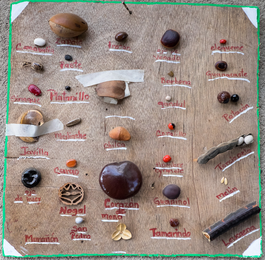 seeds for jewelry making