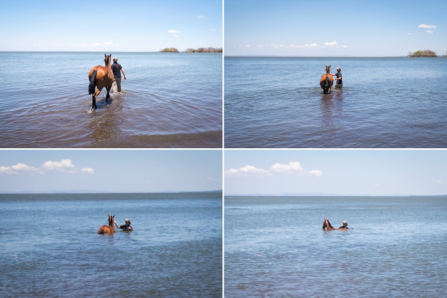 swimming with horses ometepe