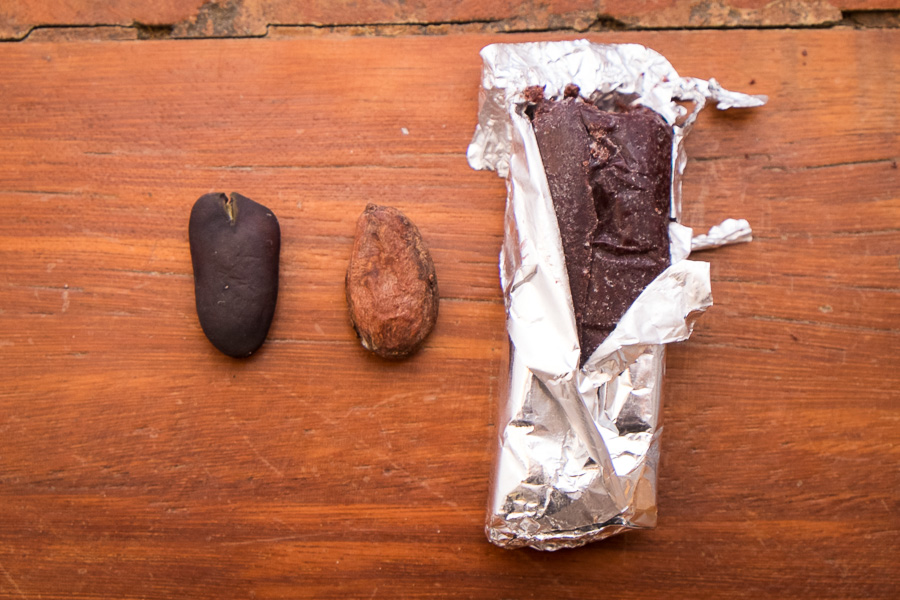 Cacao boca de Sábalos 