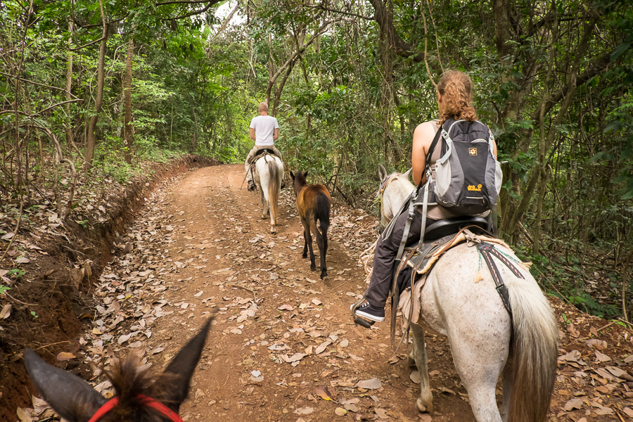 Cerro Guazapa horse riding