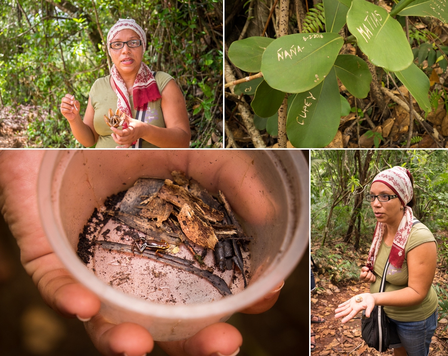 Hiking Parque Nacional Humboldt - Baracoa - Cuba