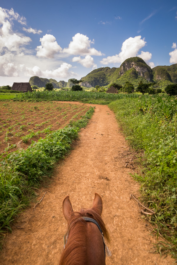 Horseback riding - Viñales - Cuba