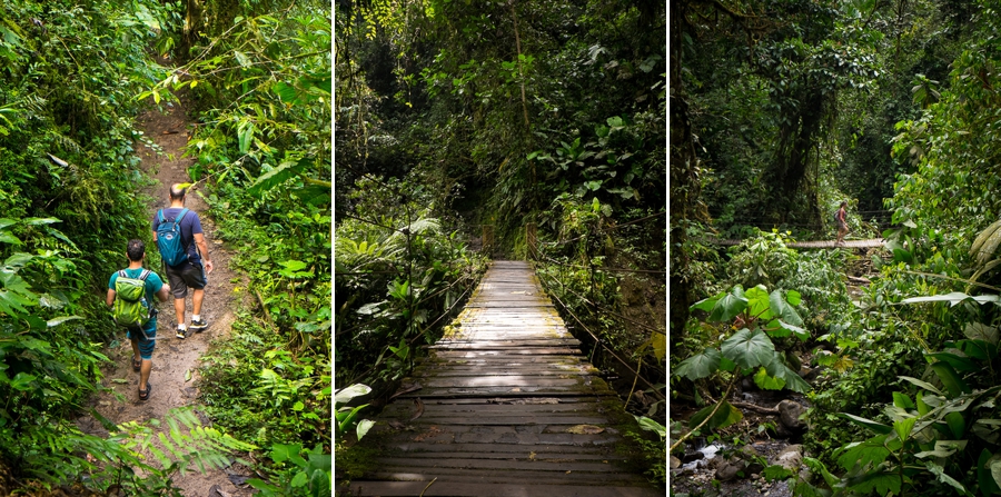 Santuario de Cascadas - Mindo - Ecuador