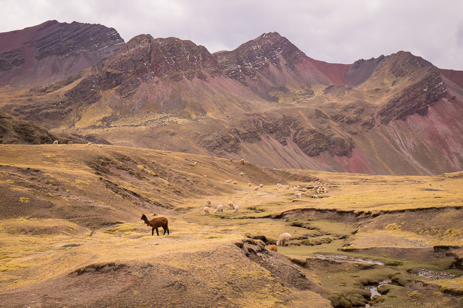 Rainbow Mountain Hike - Cusco, Peru