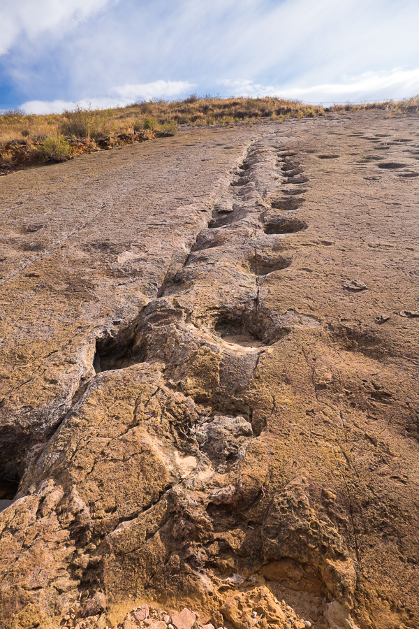 Dinosaur Trackways - Toro Toro National Park