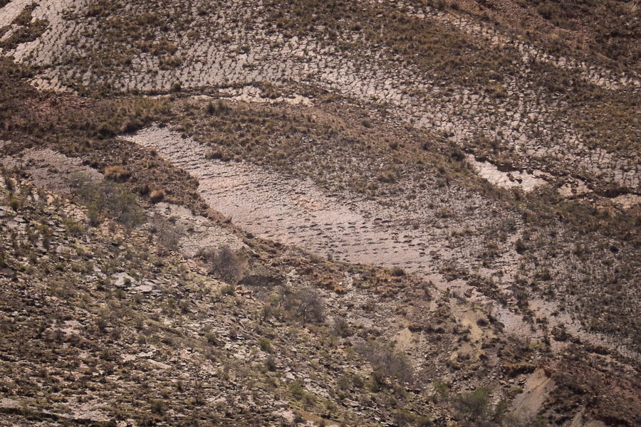 Dinosaur Trackways - Sucre, Bolivia