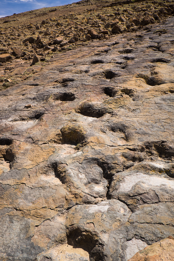 Dinosaur Trackways - Sucre, Bolivia