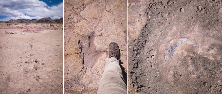 Toro Toro National Park - dinosaur Footprints