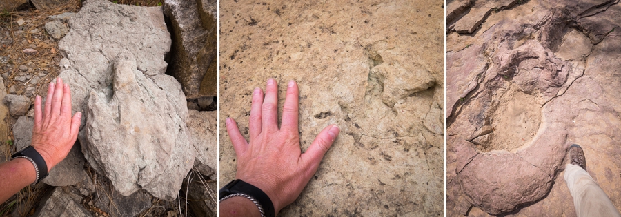 Toro Toro National Park - dinosaur Footprints