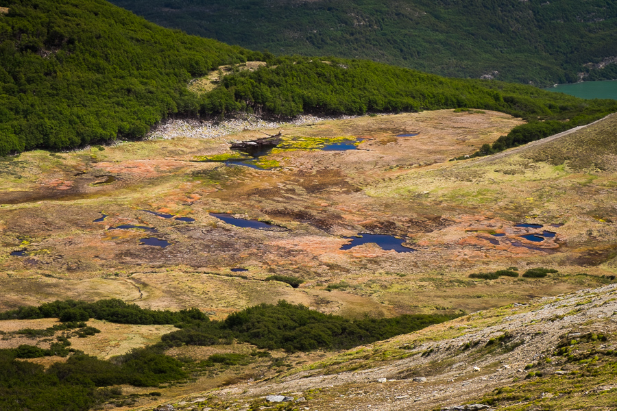 The bog! Cerro Guanaco trail - Tierra del Fuego National Park - Argentina
