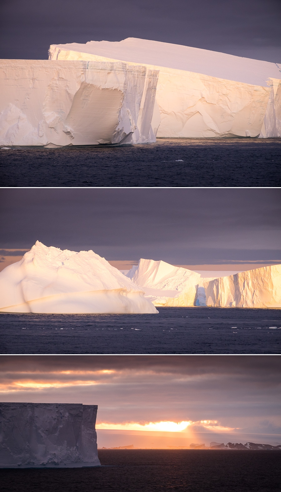Tabular Icebergs - Weddell Sea - Antarctica