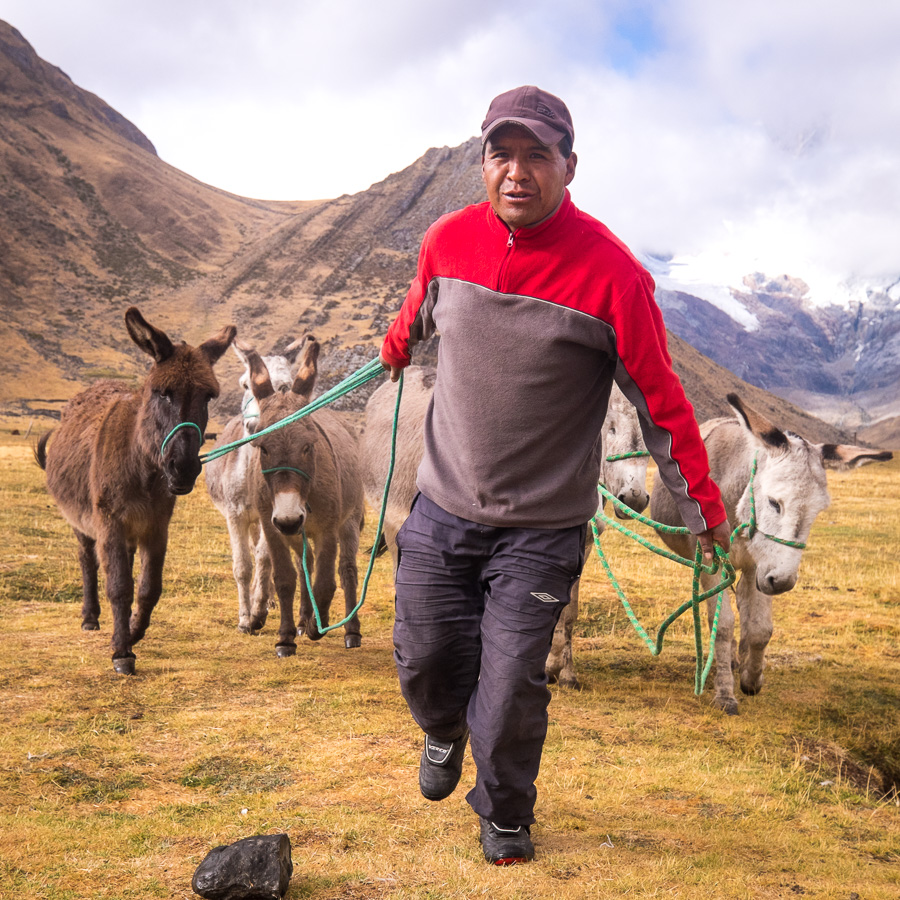 Elijio with donkeys - Huayhuash