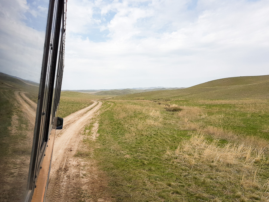 on the way to Tamgaly petroglyphs - Kazakhstan