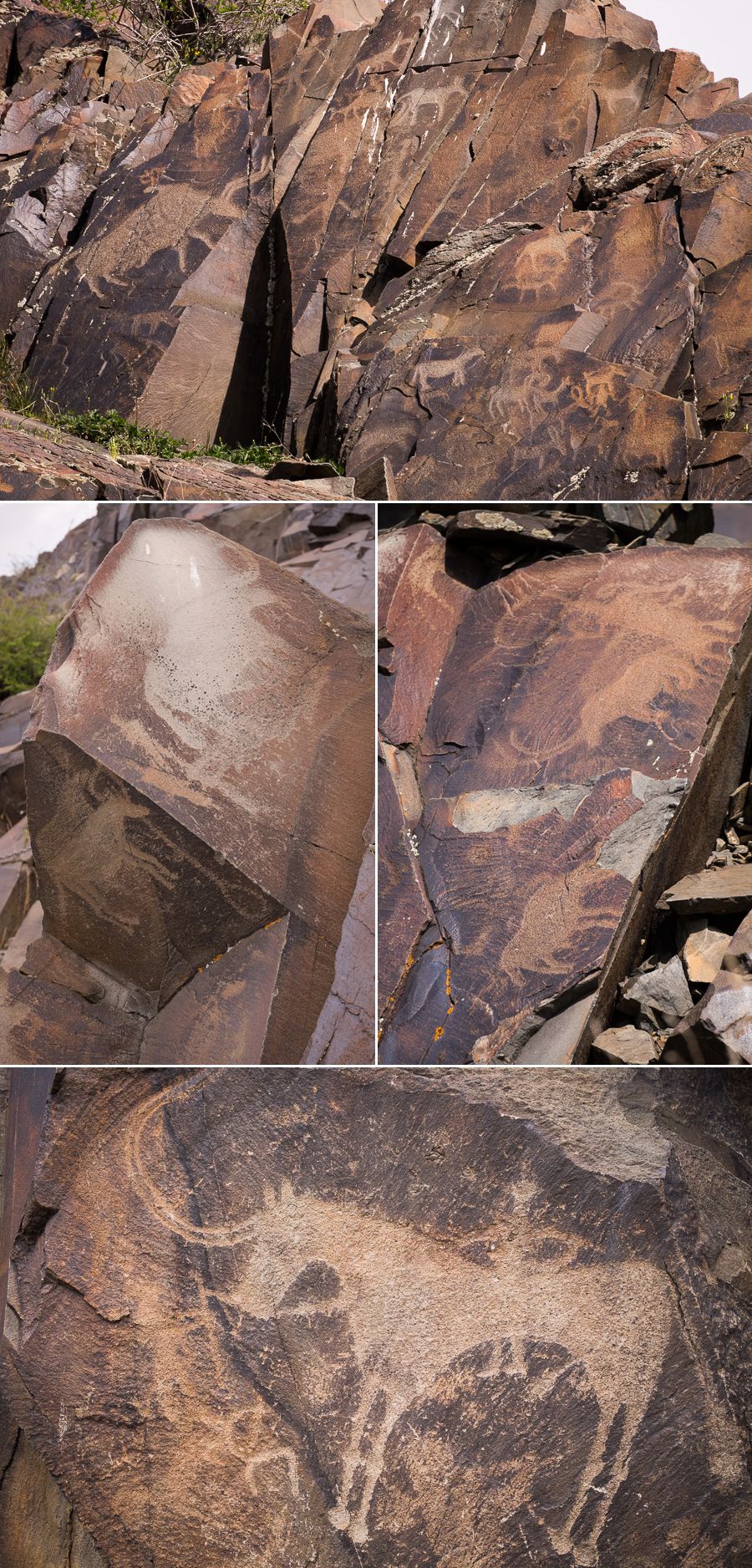 Tamgaly Petroglyphs - Kazakhstan