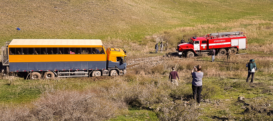 Stuck in the mud - Tamgaly Petroglyphs - Kazakhstan