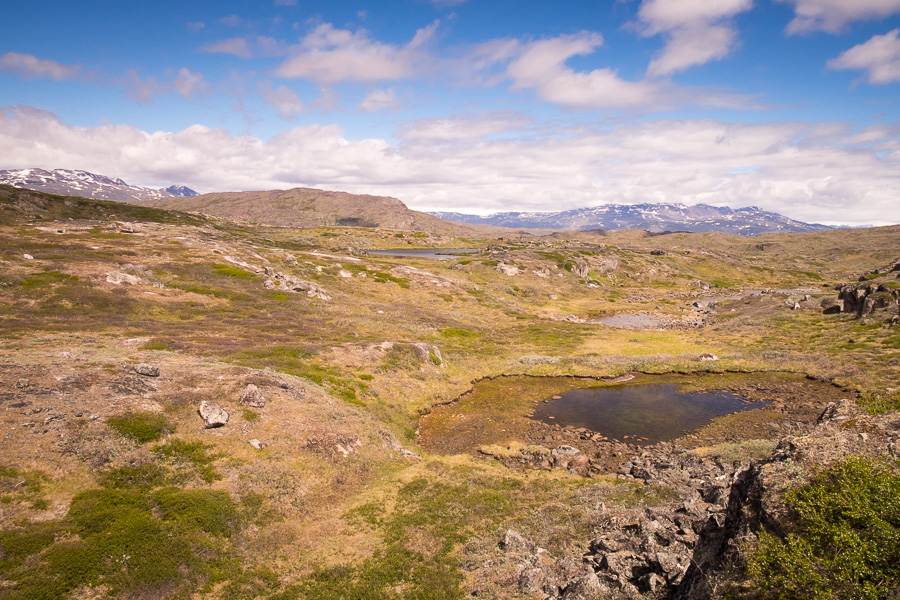 Views of mountain lakes and arctic vegetation hiking from Sillisit to Qassiarsuk in South Greenland