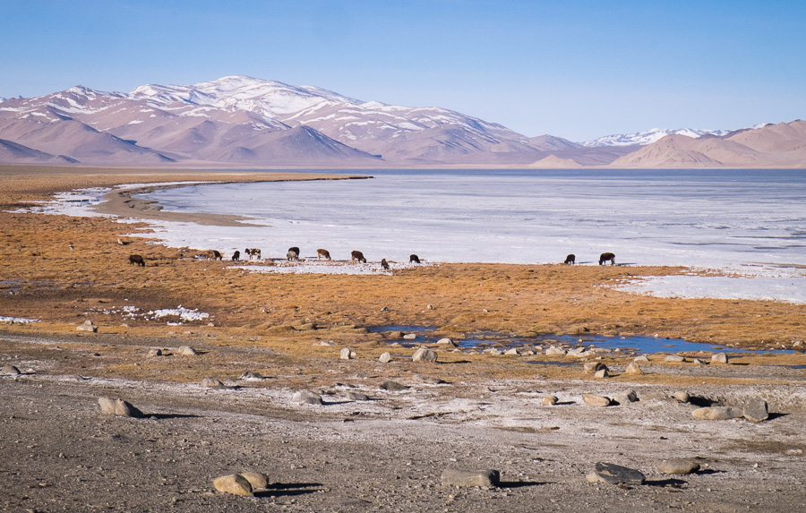 Lake Karakol - Tajikistan