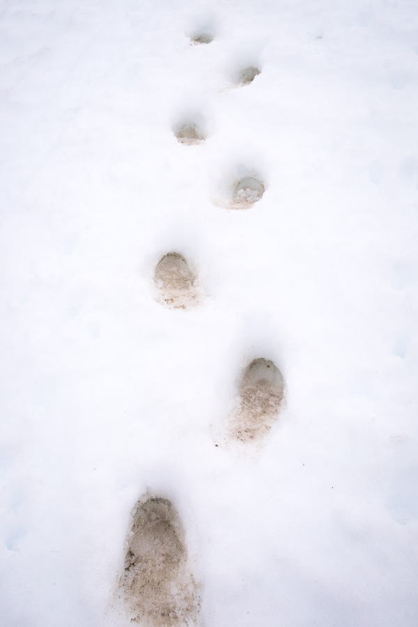 Dirty bootprints in pristine white snow