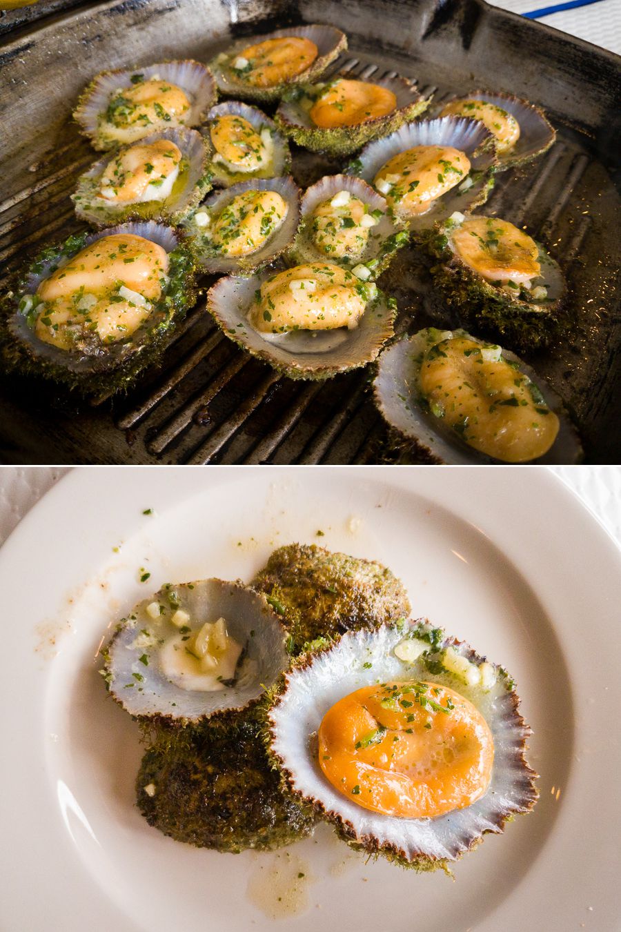 Lapas - Limpets - Azores - Portugal