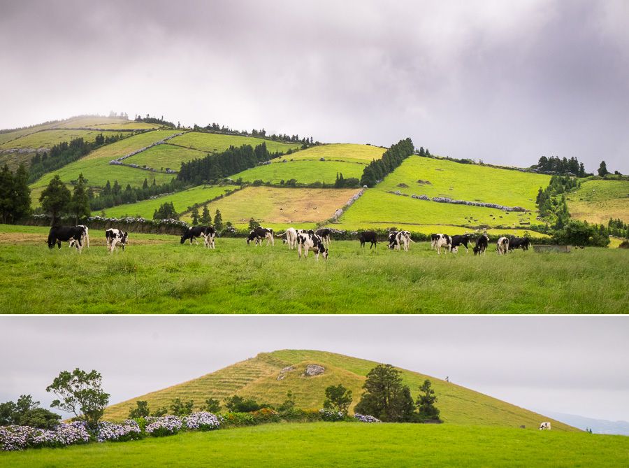 Typical vistas - São Miguel - Azores - Portugal