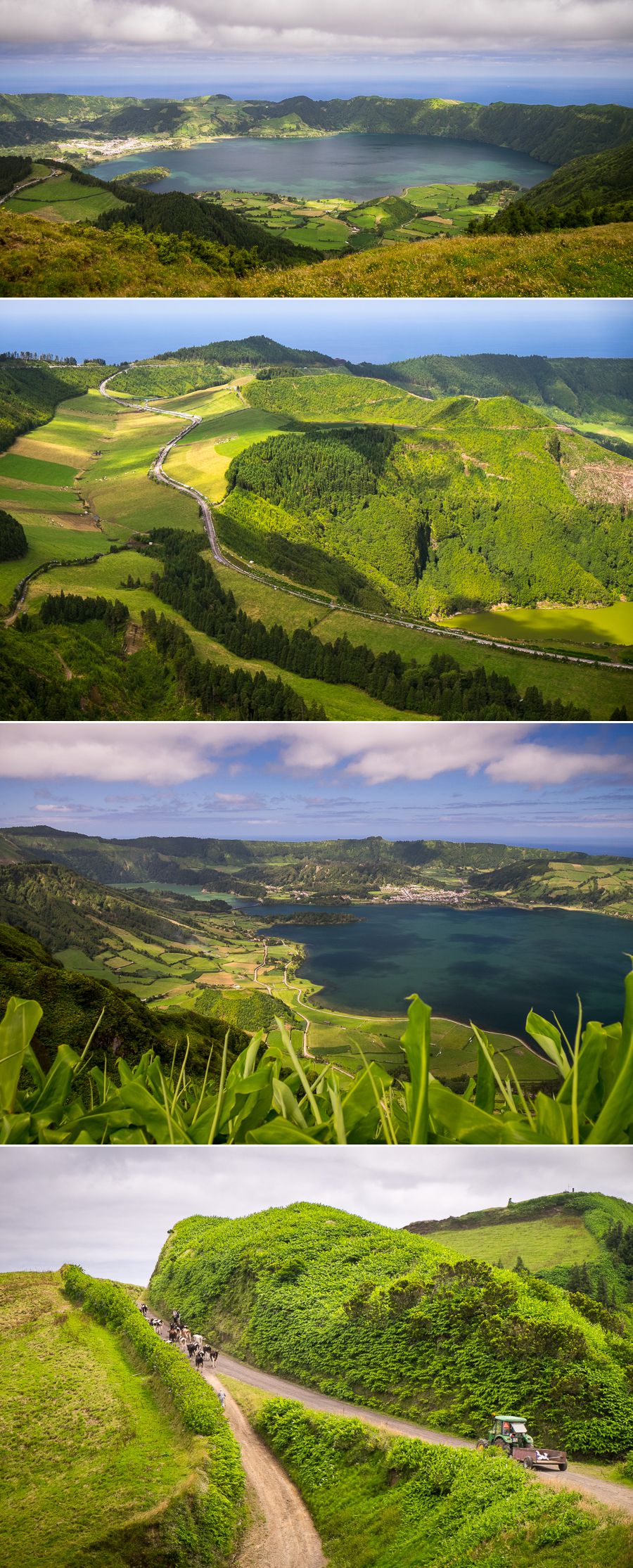 Mata do Canário - Sete Cidades hike - São Miguel - Azores - Portugal