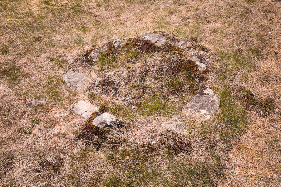 A ring of stones that might have been a well in at the Dyrnaes Norse Settlement near Narsaq in South Greenland