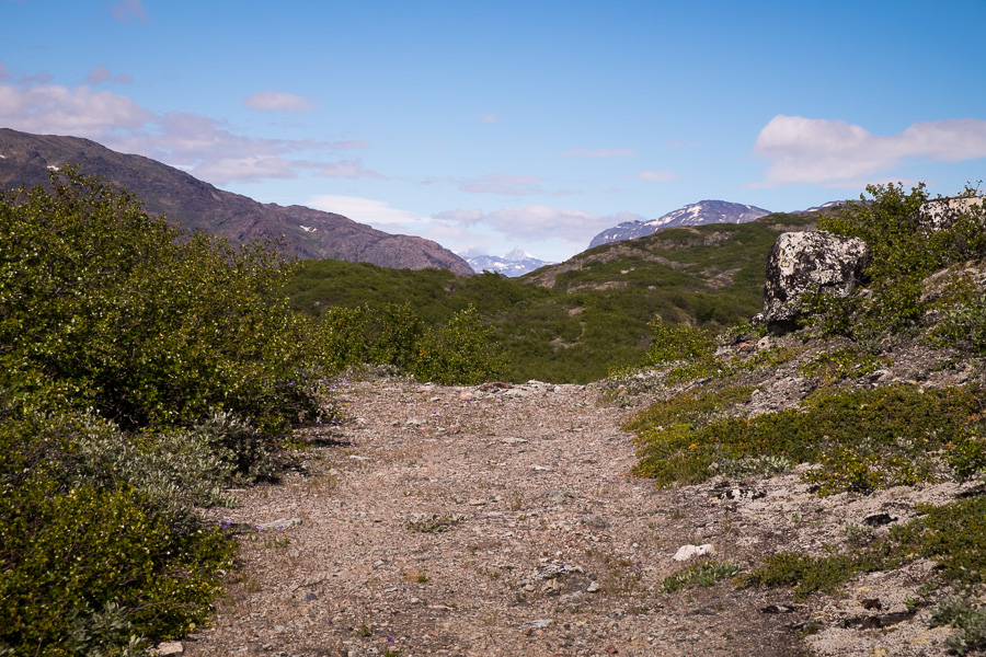 Section of the trail that guides the Ridge Hike near Narsarsuaq in South Greenland