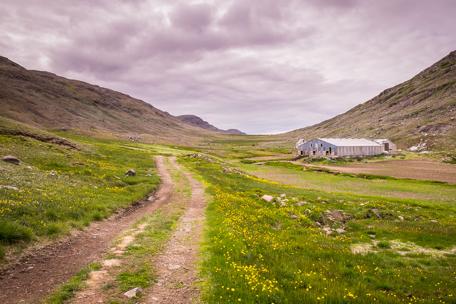 Large shed at the Qorlortup Itinnera Farm near Qassiarsuk in South Greenland