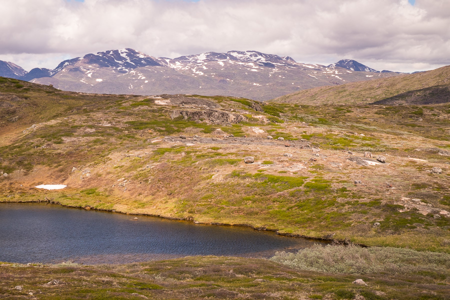 View of arctic vegetation and a very difficult to see red dot marking the trail from Sillisit to Qassiarsuk via Nunataaq in South Greenland