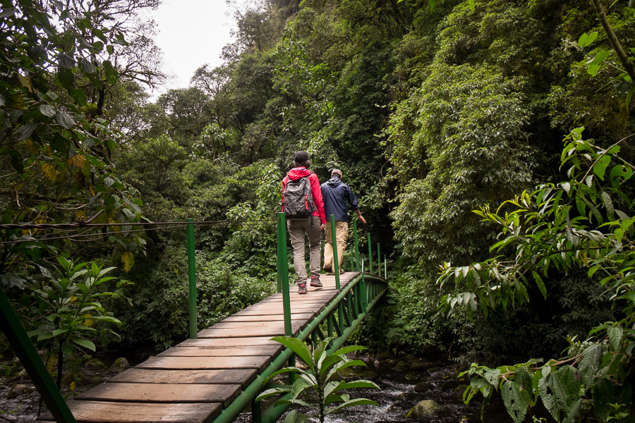 My hiking companions crossing one of the many bridges along the trail to that Cascada Condor Machay near Quito, Ecuador