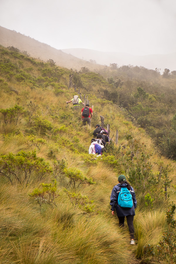 Hiking companions climbing through the Páramo on the way to the summit of Volcán Pasochoa near Quito, Ecuador