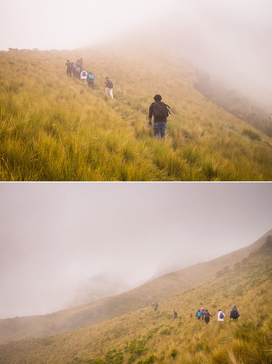 The group hiking through fog and the Páramo, en-route to the summit of Volcán Pasochoa near Quito, Ecuador