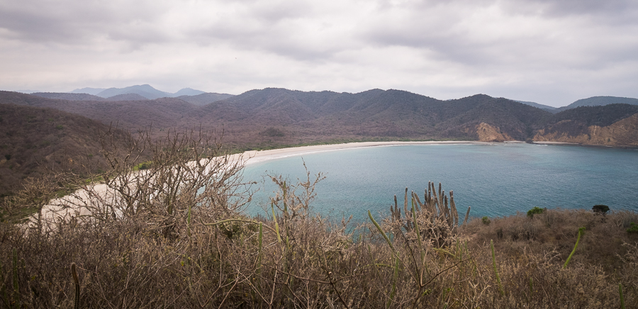 Partially obscured view of the horseshoe shape of Los Frailles beach from the lookout along the hike.