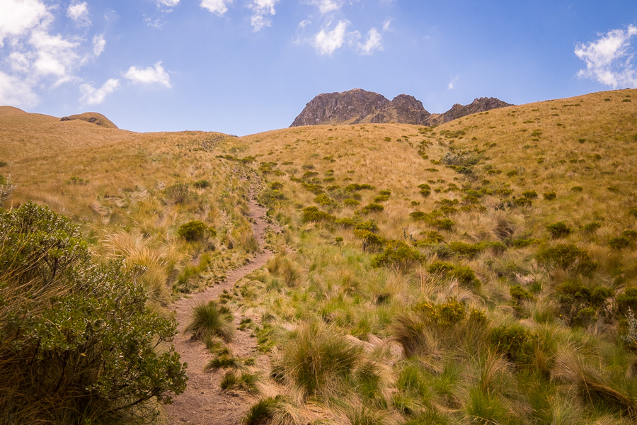 The main hiking trail as it climbs to the summit of Fuya Fuya near Otavalo, Ecuador