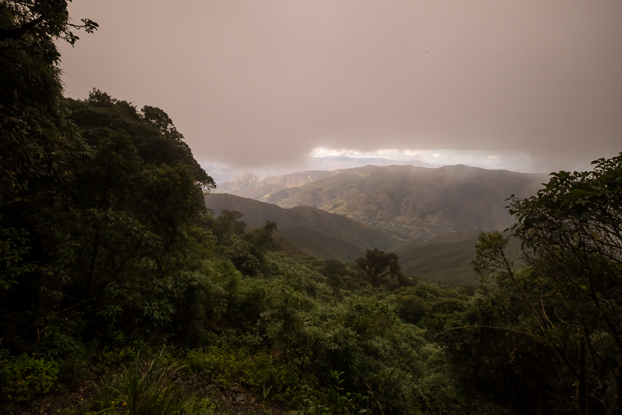 View down to the valley from Los Miradores hike in Podocarpus National Park near Loja, Ecuador