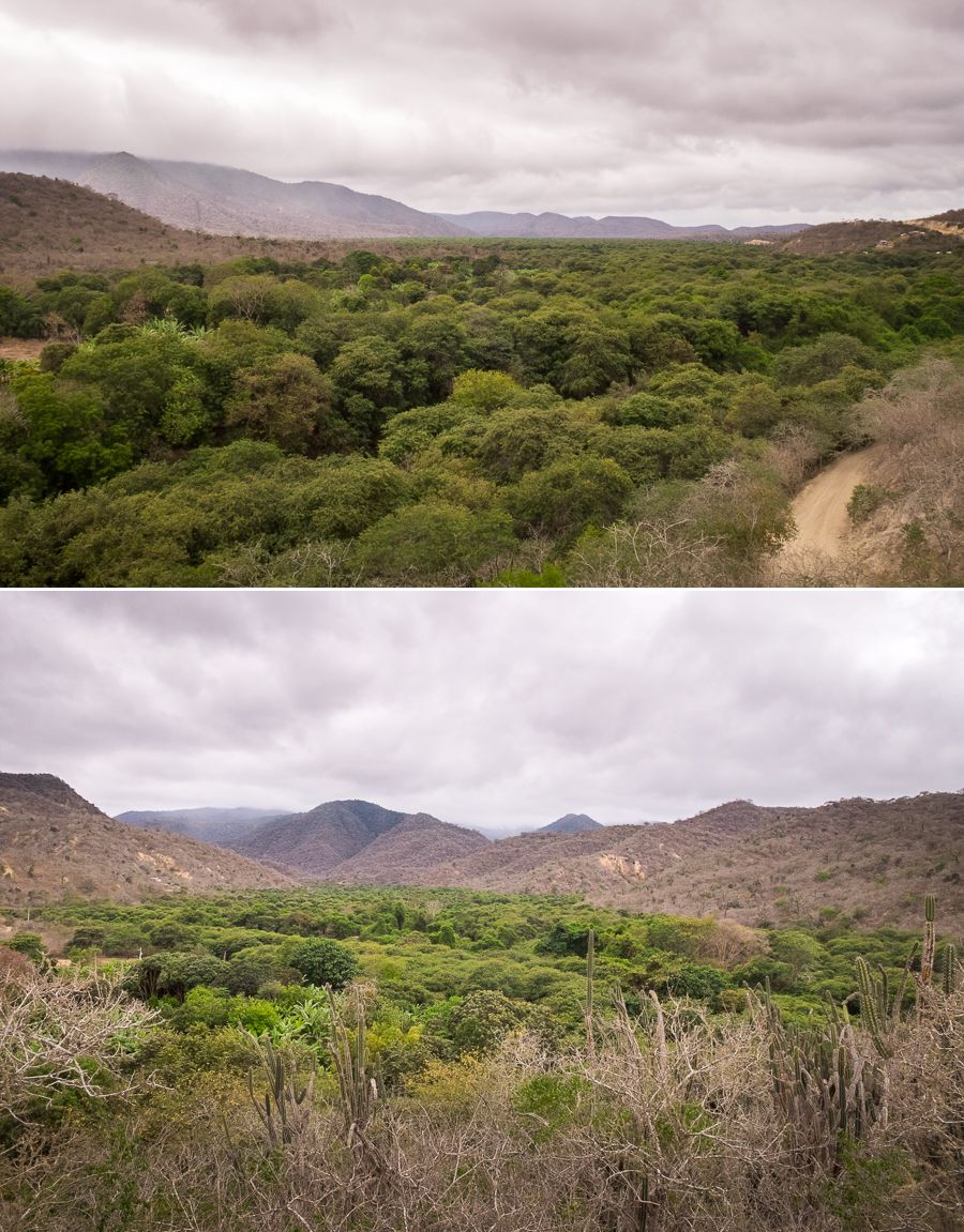 Vistas from the viewpoint at Agua Blanca near Puerto Lopez in Ecuador