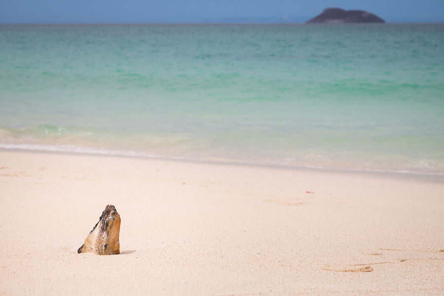 The top of a single rib from the buried US WWII barge at Las Baches beach, Galapagos