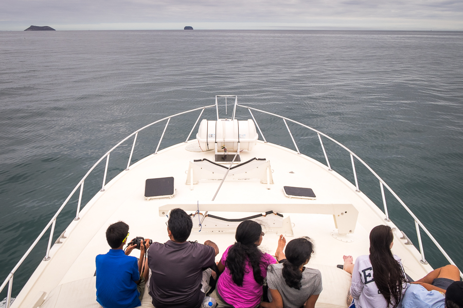 View from the upper deck of the Altamar boat heading to North Seymour Island, Galapagos