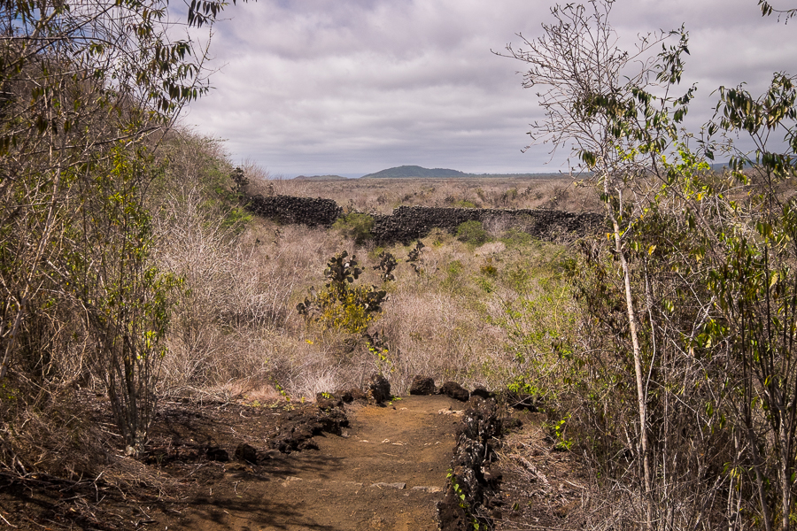 Approaching the Muro de las Lágrimas