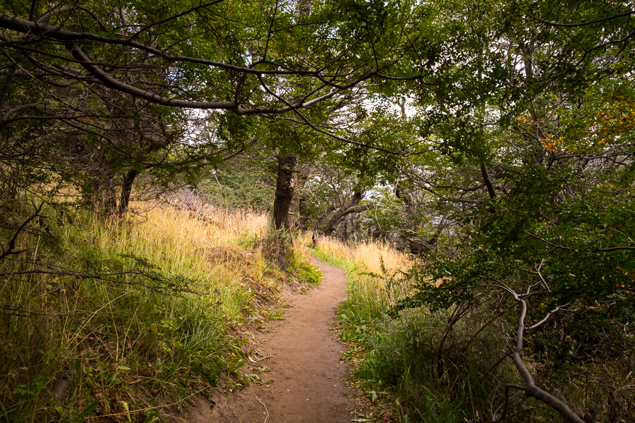 Trail to Chorillo del Salto - El Chaltén - Argentina