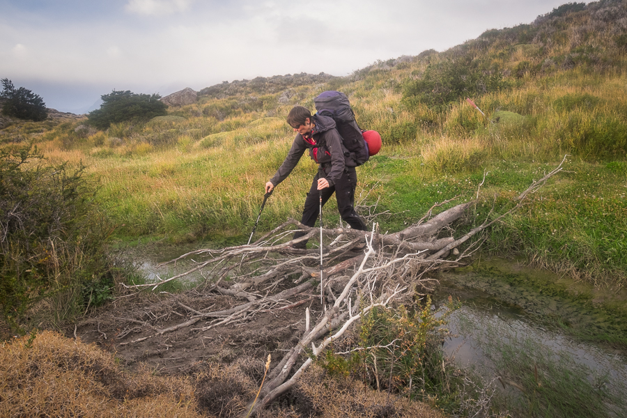 Negotiating the swampy bits - South Patagonia Icefield Expedition - Argentina