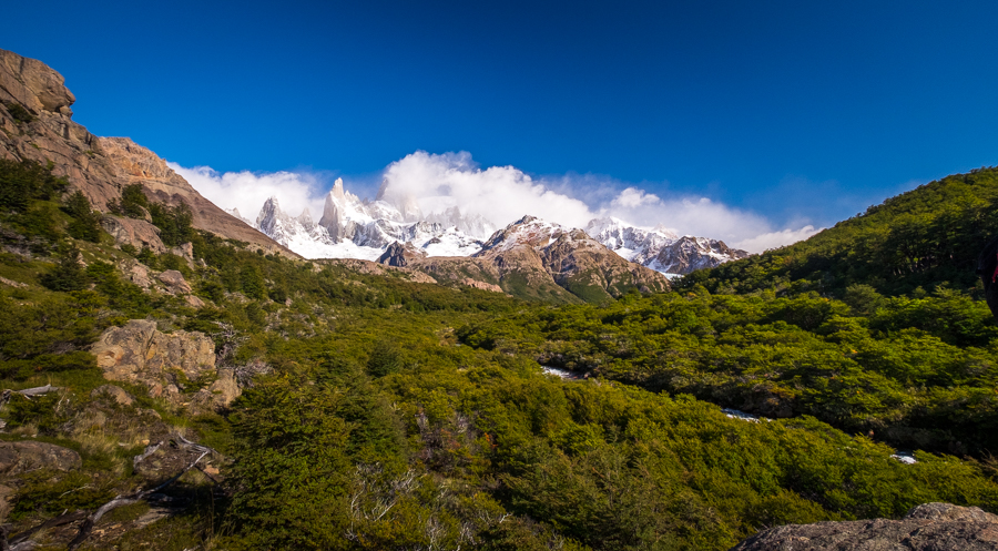 Approaching Poincenot campsite through the Lenga forest - El Chaltén - Argentina