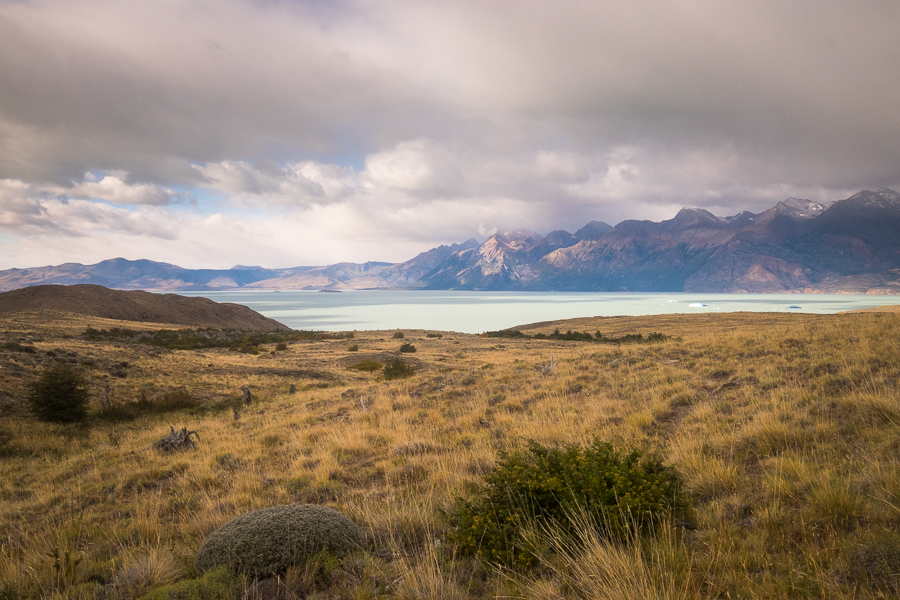 Steppe vegetation and Lago Viedma - South Patagonia Icefield Expedition - Argentina