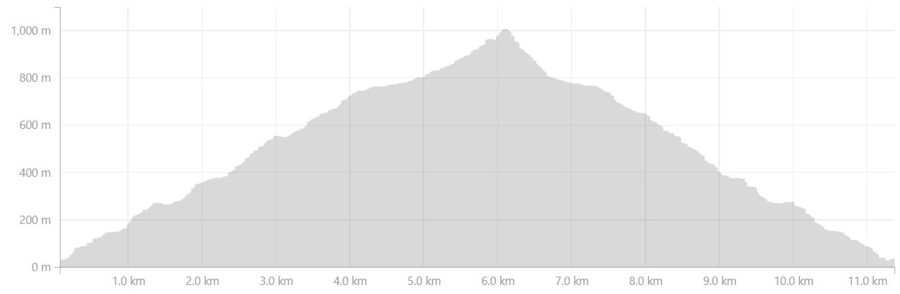 Altitude profile of hike to Mt Kuummiut on Day 5 of Icefjords and Remote Villages Trek - from Strava