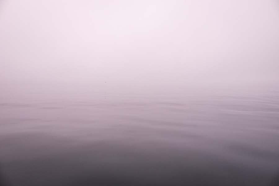 Image of fog over water where it difficult to tell where one ends and the other begins - Sisimiut Sea Safari - West Greenland