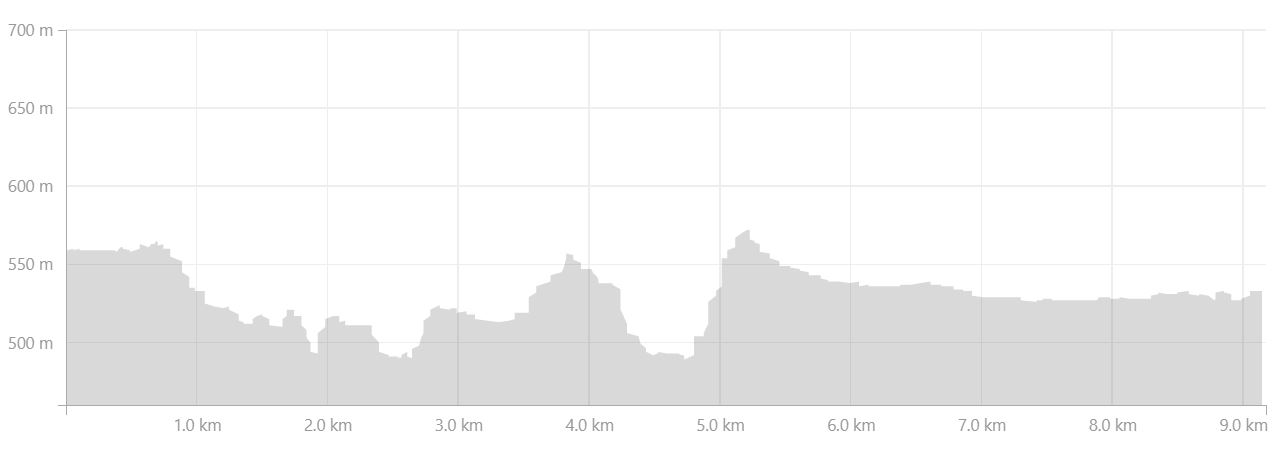 Altitude profile of the hike from Hvanngil to Álftavatn in the Central Highlands of Iceland - from Strava