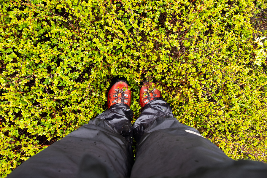 Boots, rain pants and wet vegetation in East Greenland