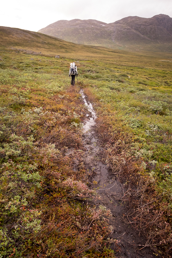 A muddly  Arctic Circle Trail - West Greenland