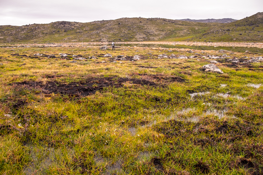 Boggy sections of the Arctic Circle Trail - West Greenland