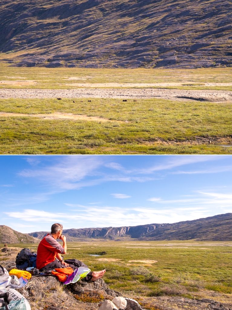 Musk Oxen and Rob eating lunch at Ole's Lakseelv (Itinneq) Valley - Arctic Circle Trail - West Greenland